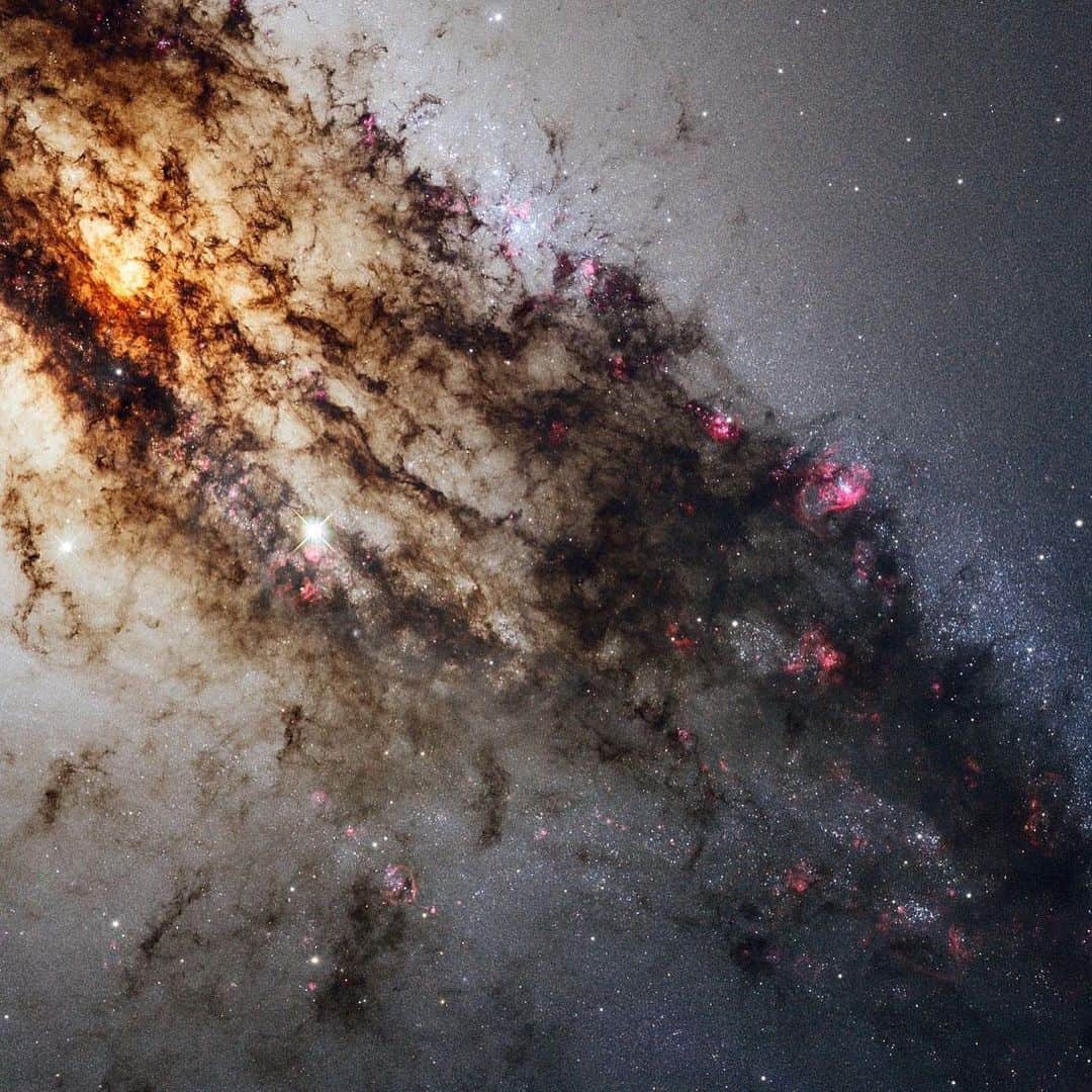 NASAさんのインスタグラム写真 - (NASAInstagram)「The majesty of @NASAHubble imagery… from your backyard. 🔭⁣ ⁣ A new gallery of Hubble Space Telescope images highlights celestial objects visible to amateur and professional astronomers alike. All of the objects are from a collection known as the Caldwell catalog, which includes 109 interesting objects visible in amateur-sized telescopes in both the northern and southern skies. Click the link in the bio for more info ⬆️⁣ ⁣ #NASA #Hubble #Space」12月24日 4時45分 - nasa