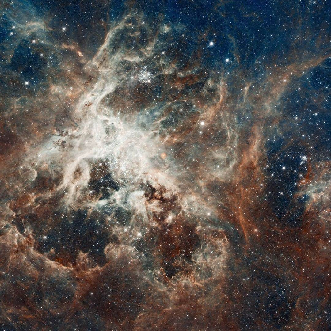 NASAさんのインスタグラム写真 - (NASAInstagram)「The majesty of @NASAHubble imagery… from your backyard. 🔭⁣ ⁣ A new gallery of Hubble Space Telescope images highlights celestial objects visible to amateur and professional astronomers alike. All of the objects are from a collection known as the Caldwell catalog, which includes 109 interesting objects visible in amateur-sized telescopes in both the northern and southern skies. Click the link in the bio for more info ⬆️⁣ ⁣ #NASA #Hubble #Space」12月24日 4時45分 - nasa