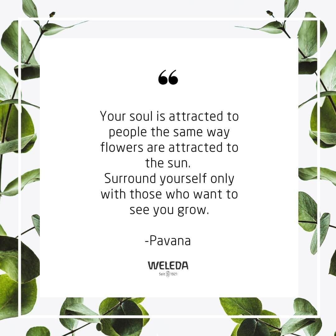 Weledaのインスタグラム：「Always surround yourself with those who wish nothing but the best for you! 🌸 #Quoteoftheday」