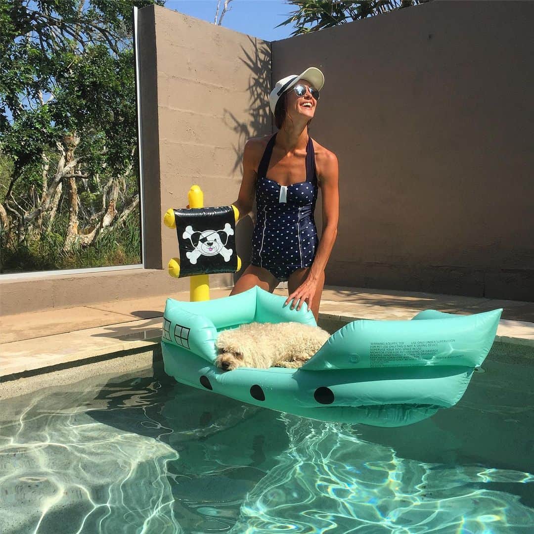 シャーニ・ヴィンソンさんのインスタグラム写真 - (シャーニ・ヴィンソンInstagram)「Christmas came early for @jaggerpoo 🎄 🚣‍♀️ 🎁 Do you have a dog that loves the water? This inflatable dog boat has a claw resistant base and is only $19 from @kmartaus #doglovers #doggifts #boatdog #christmasgiftideas #waterbaby #pirateship #waterdog #christmaseve #merrychristmas #presents #dogsofinstagram」12月24日 6時36分 - sharnivinson