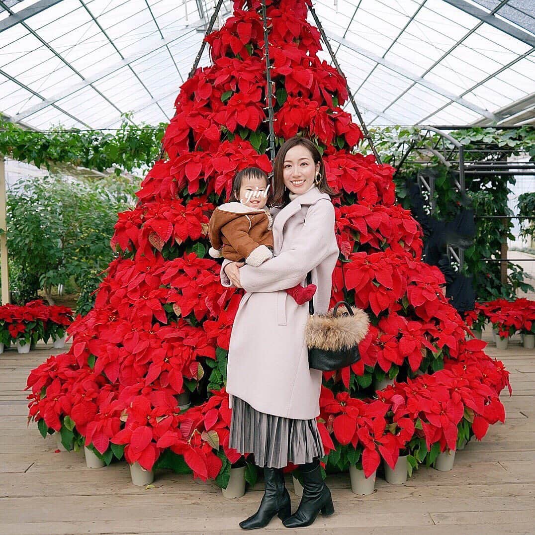 泉マリコさんのインスタグラム写真 - (泉マリコInstagram)「今日はクリスマスイブ🎄🎅✨ この前の週末、ポインセチアを見に #ハーブ庭園旅日記 にお散歩に行きました🌹温室で管理して栽培しているから、冬でもすごく綺麗に花が咲いていて見応えあり✨✨ ポインセチアのクリスマスツリーは初めて見ましたが、大迫力でした👏 . 娘と迎える2回目のクリスマス。 今年は一緒に食事を楽しんだりできると思うので、できるだけ😛準備頑張ります🍽💪 . 皆さま、素敵なクリスマスをお過ごしください❤️ . #クリスマス #クリスマスイブ #クリスマスイベント #赤ちゃんとクリスマス #赤ちゃんのいる生活 #女の子ママ #女の子ベビー #1歳4ヶ月 #ポインセチア #ハーブ #温室 #冬の花 #christmas #christmastree #babygirl #winter #herbs #familyphoto #ママさんと繋がりたい」12月24日 8時44分 - mariko_i0902