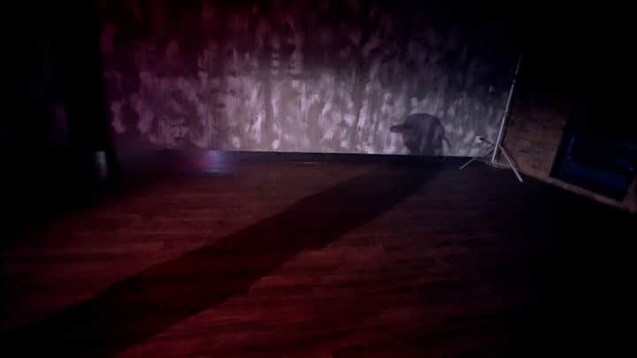 JaeWon Shimのインスタグラム：「BoA - Black  Performer @boakwon @tamzin_choi  @mihawkback - Choreo by @mihawkback - Assist Choreo @rozallllll - Director @beatburgerjae - Place @tapaha_official  #MerryChristmas #tapahathedancespace」