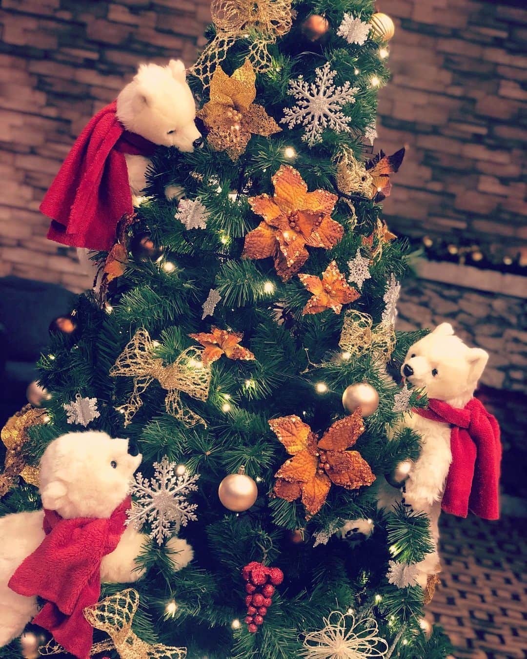 道江幸子さんのインスタグラム写真 - (道江幸子Instagram)「Merry Christmas Eve✨☆﻿ ﻿ ﻿ 台湾で飾ってあったクリスマスツリー🎄しろくま乗ってて可愛かった。﻿ ﻿ ﻿ ﻿ ﻿ ﻿ #メリクリ #merrychristmaseve #めりーくりすます #メリークリスマス #merryxmas #めりくり #merrychristmas🎄」12月24日 19時13分 - sachiko_michie