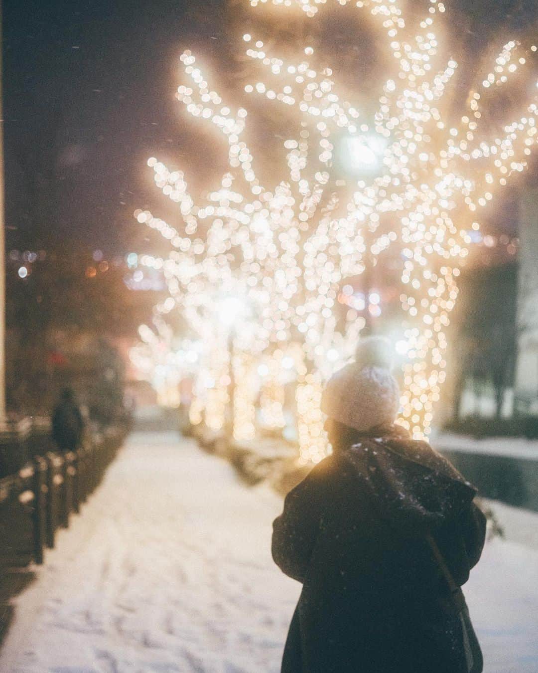 haru wagnusさんのインスタグラム写真 - (haru wagnusInstagram)「I hope you all have a very Merry Christmas.. 🎄✨ ㅤㅤㅤㅤㅤㅤㅤㅤㅤㅤㅤㅤㅤ 素敵なクリスマスを過ごしてください✨ ㅤㅤㅤㅤㅤㅤㅤㅤㅤㅤㅤㅤㅤ Location #hakodate #hokkaido  ㅤㅤㅤㅤㅤㅤㅤㅤㅤㅤㅤㅤㅤ 📷Sony. α7R3 with Carlzeiss Loxia + Black Mist no.1」12月24日 19時11分 - wagnus