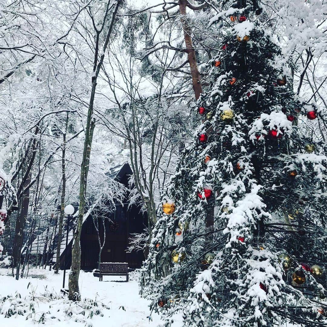 【公式】軽井沢高原教会さんのインスタグラム写真 - (【公式】軽井沢高原教会Instagram)「日曜日の午後から、月曜日の朝にかけて降り続いた雪。 少し早いホワイトクリスマスでした。  星降る森のクリスマスは明日までです。  #軽井沢　#軽井沢高原教会　#クリスマス　#星降る森のクリスマス　#🎄　#2019クリスマス　#12月24日　#星野エリア」12月24日 19時49分 - karuizawa_kogenchurch
