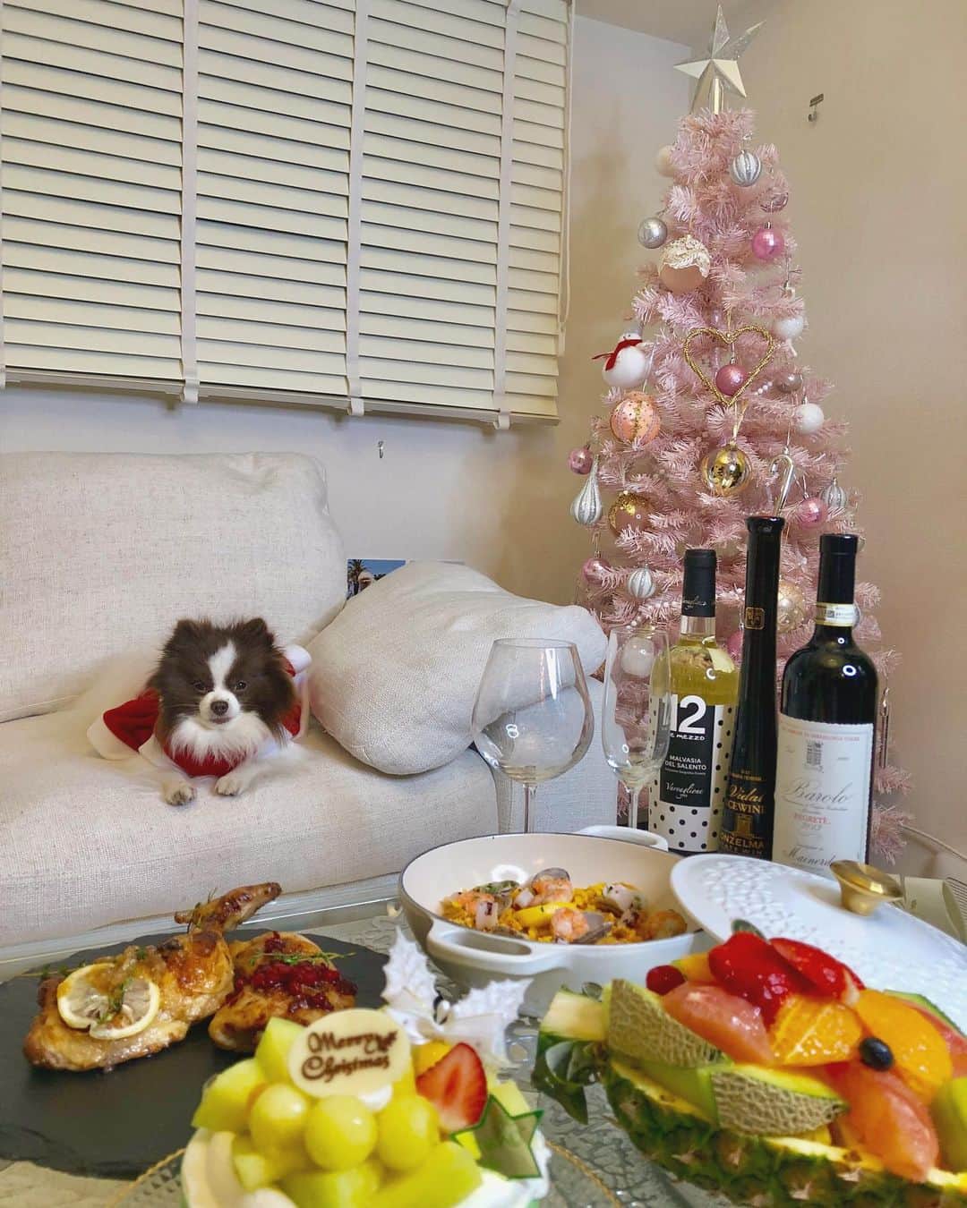 mycoのインスタグラム：「🎂🎄Merry Christmas🎅🍗 みなさまメリークリスマス！！ #merrychristmas #pomchristmas  #メリークリスマス」