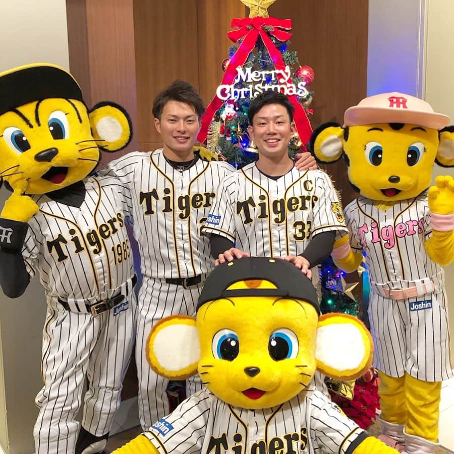 阪神タイガースさんのインスタグラム写真 - (阪神タイガースInstagram)「今日はファンクラブXmas party 東京の部🎄出番を待つ間のワチャワチャをお届けします^ ^; #糸原健斗 選手 #北條史也 選手 糸原選手を隠そうとする北條選手にトラッキー達も参戦 #トラッキー #ラッキー #キー太 #christmasparty #ファンクラブ #東京 #tokyo #阪神タイガース」12月24日 19時55分 - hanshintigers_official