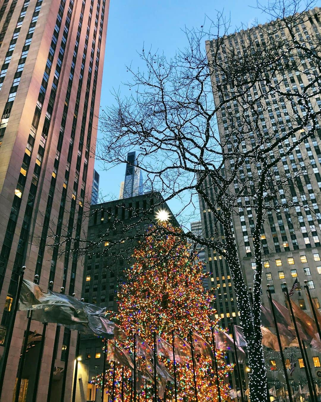 ベイカー恵利沙さんのインスタグラム写真 - (ベイカー恵利沙Instagram)「My 3rd Christmas in NY 🎄❤️❄️ NYに引っ越してから、3度目のクリスマス♡ 今日はイヴの前日 クリスマスはお店もレストランも街中全部閉まって、 みんな家族でおうちで過ごすよ✴️ 大人も子どもも、 家族中のみんなにプレゼントをあげるから、 クリスマス前はプレゼントの大準備！🎁 みなさま素敵なホリデーをお過ごしください💝」12月24日 11時07分 - bakerelisa