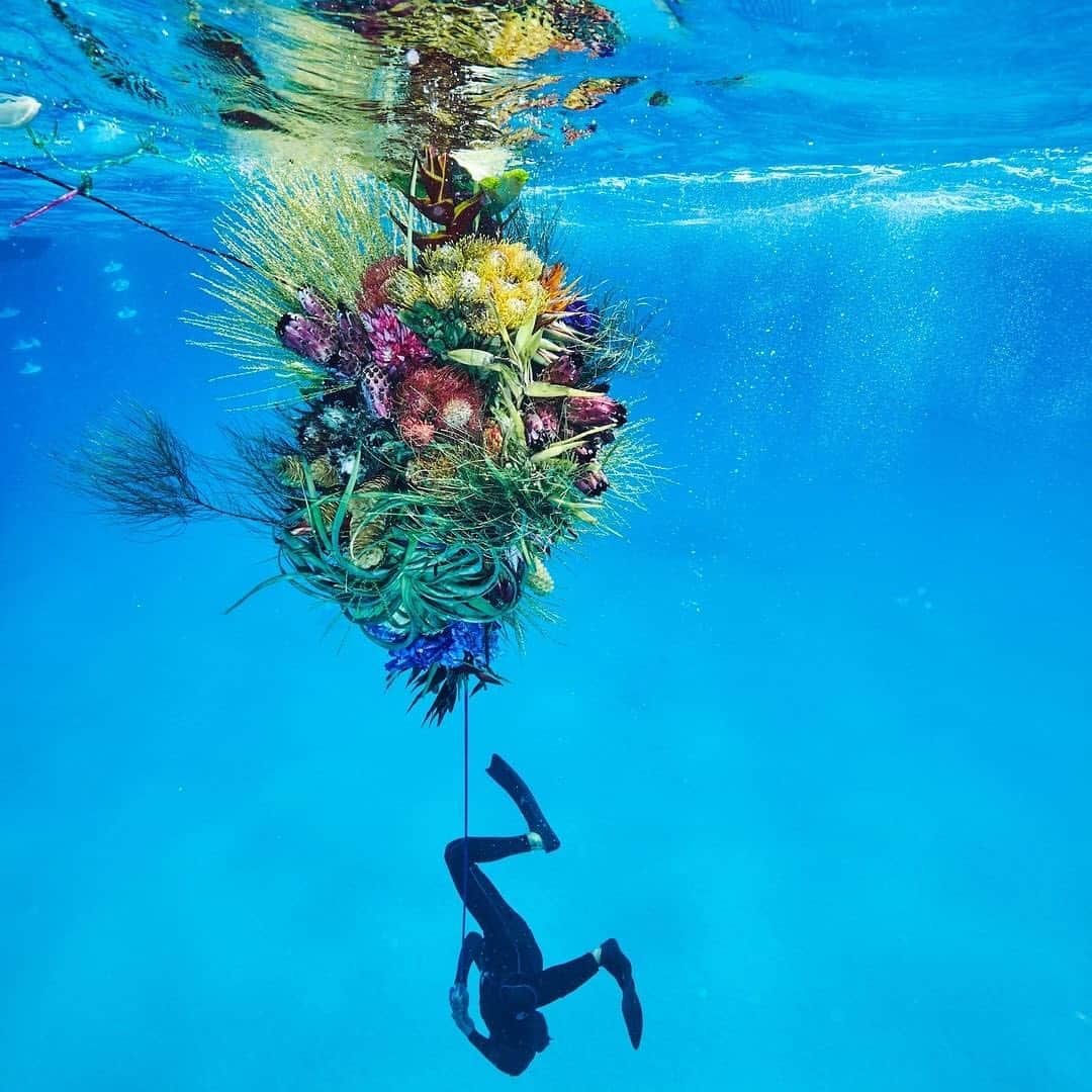 HYPEBEASTさんのインスタグラム写真 - (HYPEBEASTInstagram)「@hypebeastart: Japanese artist @azumamakoto recently unveiled a striking new photography series entitled ‘FLOWER AND MAN.’ The ongoing project features massive bouquets in unexpected scenarios including a wrestler slamming a flower arrangement in a suplex move, a skydiver jumping out of a plane with a large floral piece, and a rickshaw runner hauling a heap of exotic flowers throughout the streets of Tokyo. Click the link in our bio to learn more.⁠⠀ Photos: AMKK」12月24日 11時11分 - hypebeast