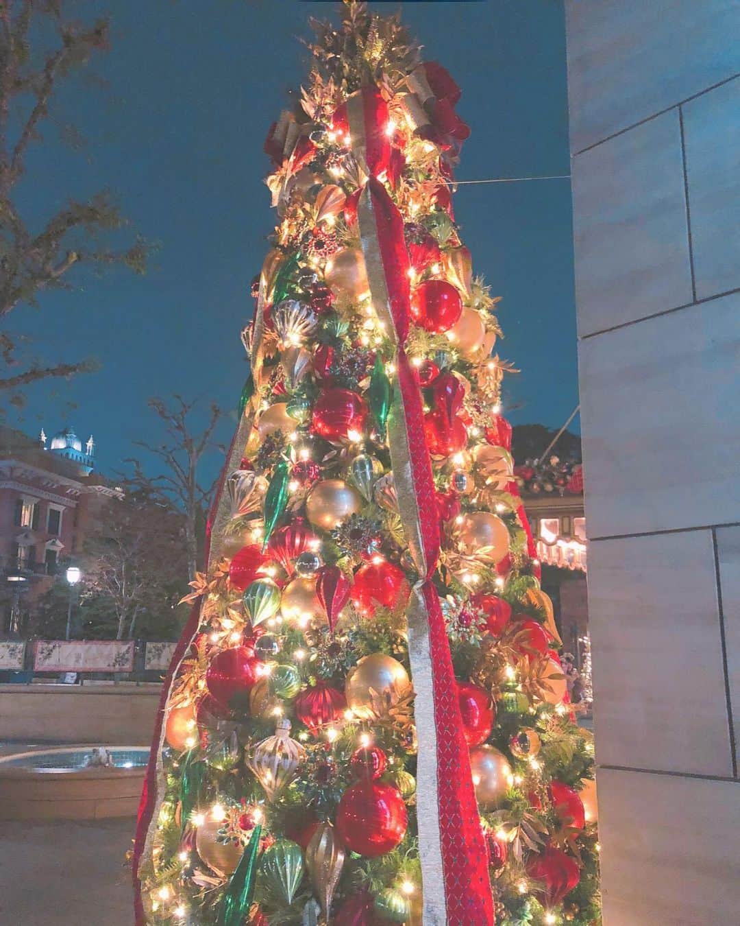 百瀬怜のインスタグラム：「クリスマスじゃん〜🎄 #ディズニーシー」