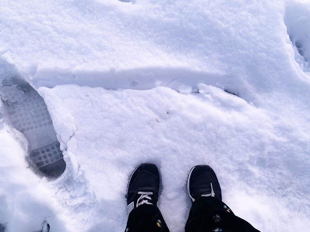 三倉茉奈さんのインスタグラム写真 - (三倉茉奈Instagram)「雪。 ロケ先に雪が積もってました。 今年初めての雪。綺麗。 あ、メリークリスマスイブ☺︎ #snow #merrychristmas」12月24日 11時19分 - mana_mikura_official