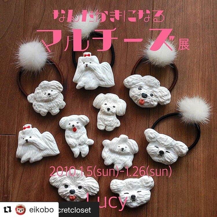 タンゲクンのインスタグラム：「あーー旬太郎だらけの気もする って違うのね 「なんだかきになるマルチーズ展」 私はいつも描く側で描かれる人の気持ちがこんななんだと改めて気がついたザワザワ❤️ 旬太郎じゃないけどね。  1月5日から学芸大🚃で展示 詳細は→@eikobo をご覧ください。」