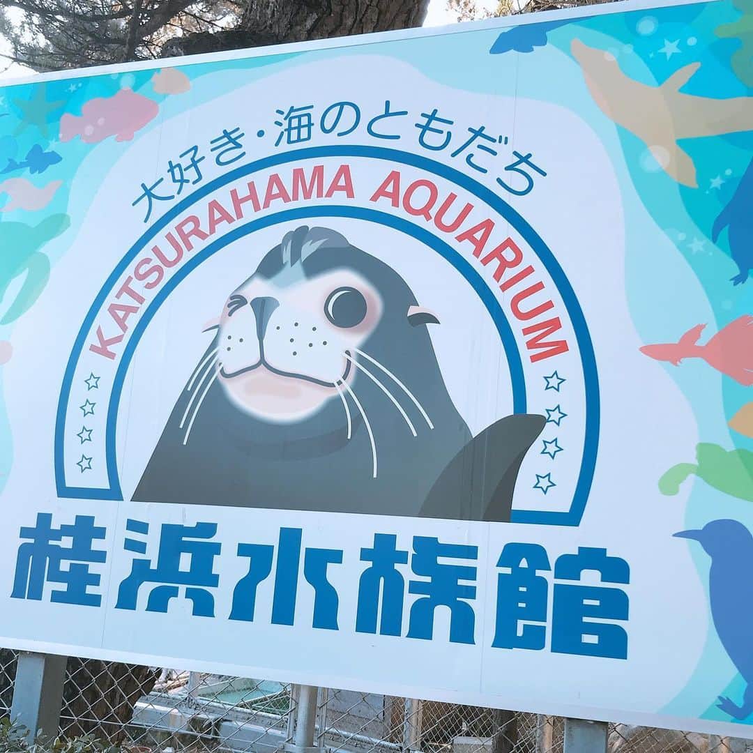 渚さんのインスタグラム写真 - (渚Instagram)「『カピバラの赤ちゃんの命名式』  明日クリスマスの日は、桂浜水族館で初めて生まれたカピバラの赤ちゃんの命名式があるで  9月に生まれたカピバラの赤ちゃんの親は、徳島動物園からやってきたカピバラで、お母さんのお名前は「カピィ」、お父さんのお名前は「バァラ」  カピィちゃんとバァラ君から生まれた、2匹の子供のお名前をうちがつけさせてもろたよ  明日14時に桂浜水族館でアシカショーの後、命名式を開催するらしい お時間ある方は、是非行ってなぁ  うちは明日はありがたい事にお仕事入ってて、命名式に行きたかったけどちょっと行けそうにないから、行ける人たちはみんなで全力で桂浜水族館盛り上げてきて  行ける人も行かれへん人も、カピバラの赤ちゃんがどんなお名前つくか予想してみて 考えるだけでワクワクするよな  命名式以降に、夜になる予定やけど、うちYouTube開始するから、URLとかまたそれの報告もするわぁ YouTubeの方は、Aマッソの加納さんに構成、企画で全力で協力してもろて、作家さんとの3人チームでやらしてもらうわぁ YouTubeのヘッダーのデザインは、後輩の蛙亭の中野君に考えてもらったで うちのTwitterのヘッダーも中野君が描いてくれたやつやねん 後輩がようけ考えて描いてくれたやつやから、そこら辺も見て欲しいかなぁ  そんな感じで、明日1発目の配信はもちろん、桂浜水族館のカピバラの赤ちゃんの命名の話してるよ  YouTubeはまた時間ある時にでもみてみて  明日命名式に行かれる方たち、桂浜水族館とクリスマスを満喫してきて  おとどちゃん、おまえがいつも通り盛り上げてこいよ  YouTubeのURL出来たから追加で報告させてもらうわぁ  https://www.youtube.com/channel/UCqyzijpKDTr4XnJpvEIPZBw  明日25日の14時半頃にアップする予定やから 頼むなぁ」12月24日 11時39分 - nagisainter