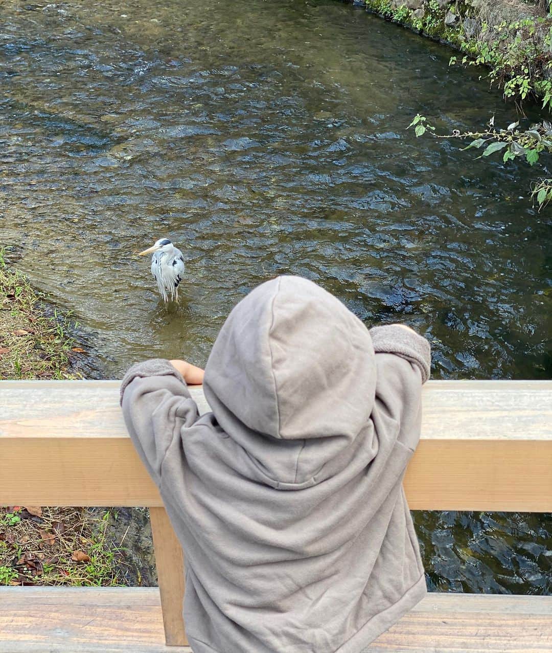 余文樂さんのインスタグラム写真 - (余文樂Instagram)「他很喜歡魚和鳥」12月24日 11時42分 - lok666
