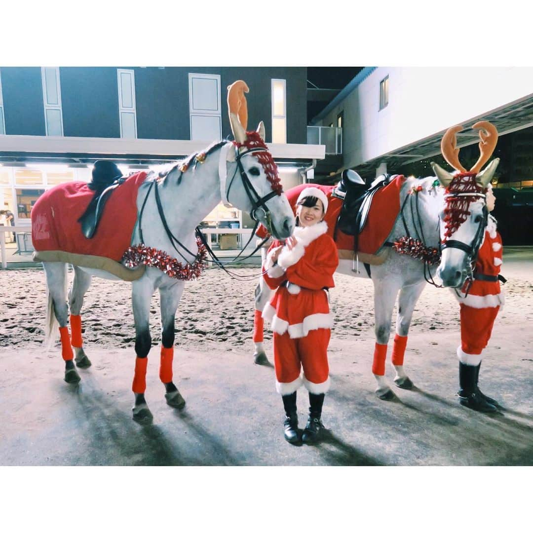 津田麻莉奈さんのインスタグラム写真 - (津田麻莉奈Instagram)「#merrychristmaseve  先日、川崎競馬場で撮らせてもらった誘導馬さん❤️ クリスマス前の開催ではお馴染みです🥰 白いお髭をつけたサンタさんは、乗馬クラブの社長さんだそうです✨ (お仕事中に、ありがとうございました🙇‍♀️) ⁑ ⁑ #川崎競馬場 #誘導馬 #トナカイ #クリスマス #christmas  #chrismasphotography  #まりなる#津田麻莉奈」12月24日 12時24分 - tsudamarinal