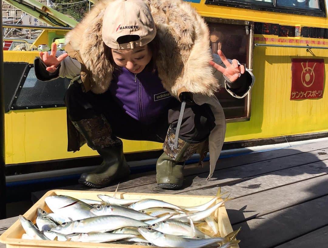 香月ハルさんのインスタグラム写真 - (香月ハルInstagram)「アジが大漁に釣れたよ。 久々の好釣果！！！ #九ちゃんフィッシング #釣り #fish fishing」12月24日 13時13分 - halu_kazuki
