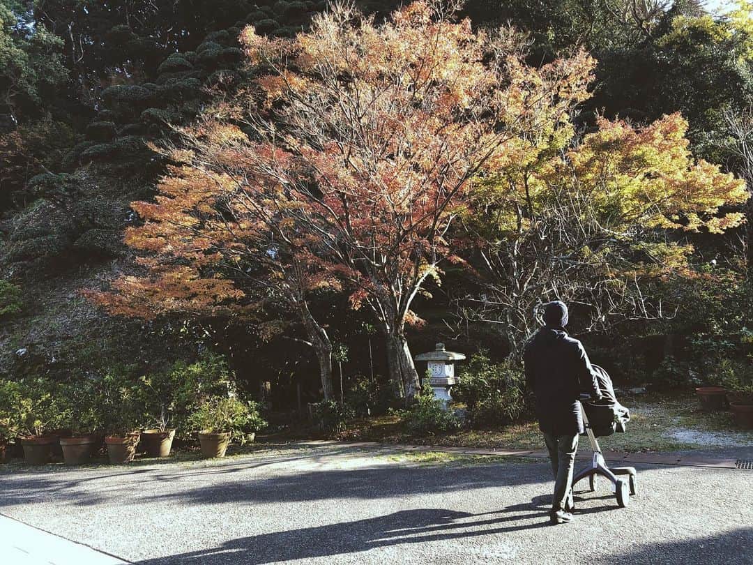 尾形沙耶香さんのインスタグラム写真 - (尾形沙耶香Instagram)「#weekendtrip  #shimoda #japan_of_insta  #週末旅行 🚗」12月24日 13時23分 - sayakaogata