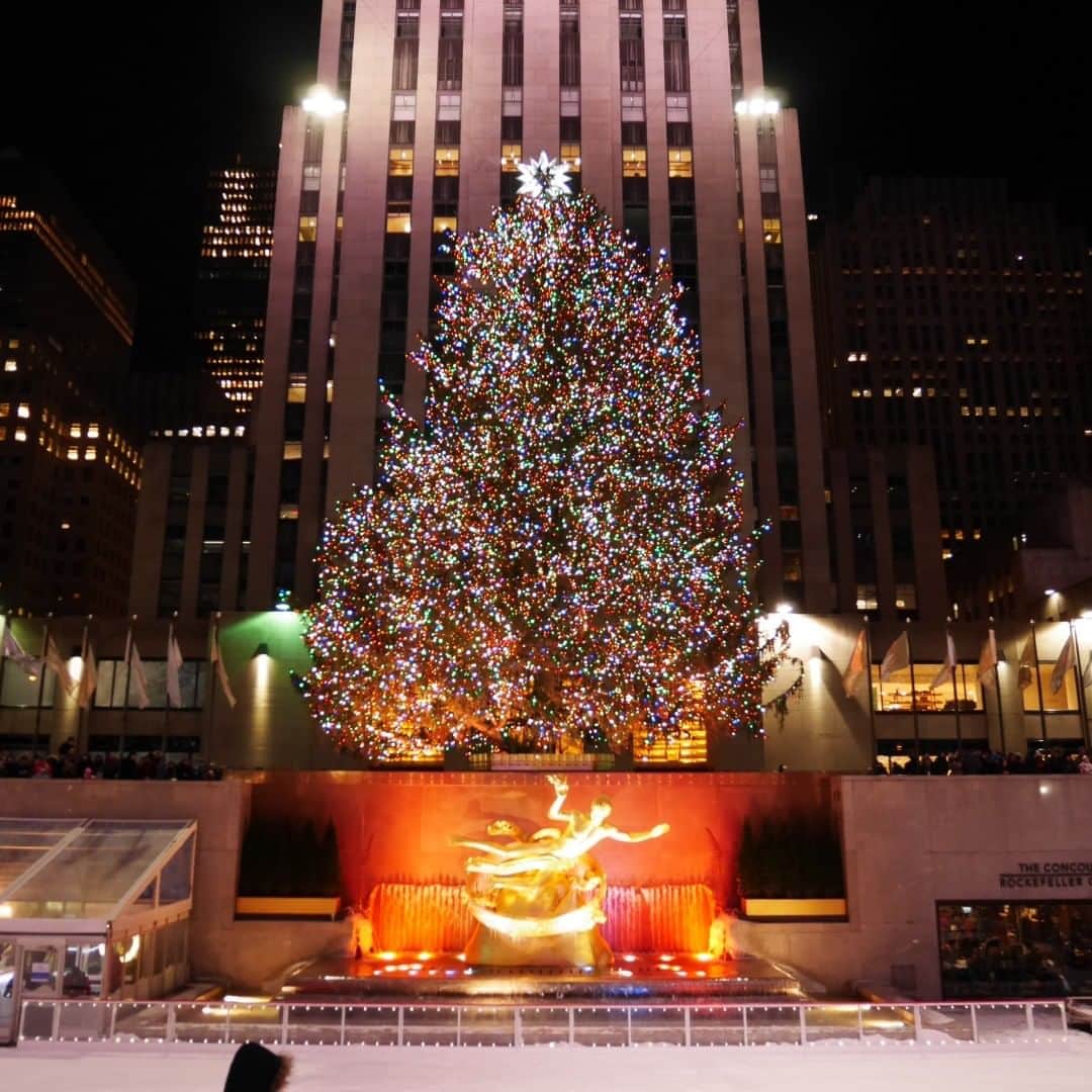ネット専用海外旅行保険たびほのインスタグラム：「#クリスマスイブ 素敵な夜をお過ごしください🎄 . #ロックフェラーセンター #毎年30m級のクリスマスツリーを展示 #1月6日まで #終了後はリサイクル #rockefellercenter #manhattan #ニューヨーク #クリスマス #クリスマスツリー #海外旅行保険 #tabiho #たびほ #旅スタグラム #海外旅行  #海外旅行好きな人と繋がりたい #中の人ku」