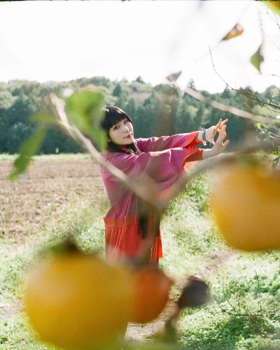 DAOKOさんのインスタグラム写真 - (DAOKOInstagram)「柿の木ってとってもかわいらしー。生気の粒。写真・馬場真海　@shinkai_baba  お洋服・@bansanbansan」12月24日 14時02分 - daoko_official