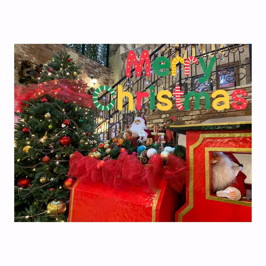 杜野まこさんのインスタグラム写真 - (杜野まこInstagram)「#メリークリスマスイブ 🎄✨ #merrychristmaseve  #メリクリ #クリスマスツリー #サンタクロース ＊ ＊ 皆さんにとって 素敵なクリスマスイヴ🎅となりますよーに🌟  球場の年間シート 化粧品 マスク 美味しいお酒とおつまみ お洋服 スニーカー23.5センチ ヘアオイル&トリートメント サンタさーん　お願いしますよ〜‼️😆💕 いつの間にか、夢がずいぶん実用的な物になったなぁ〜」12月24日 14時04分 - makomorino