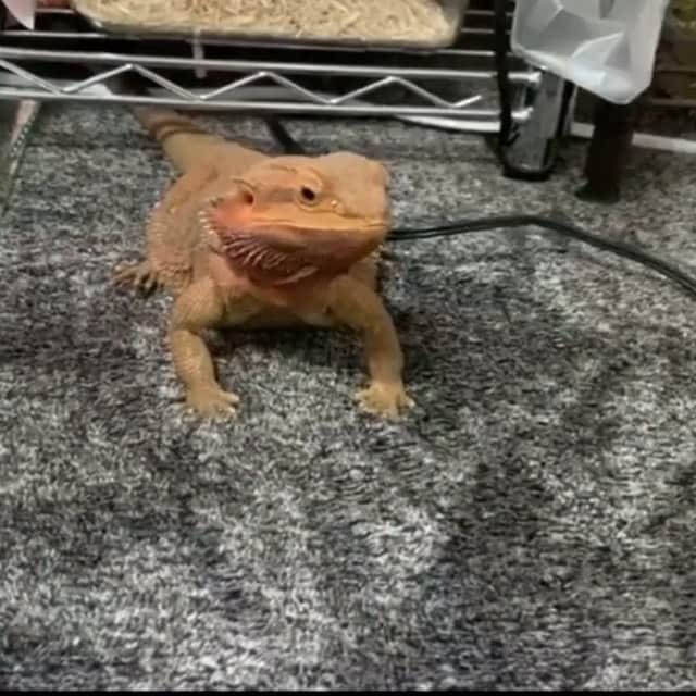 まっすーのインスタグラム