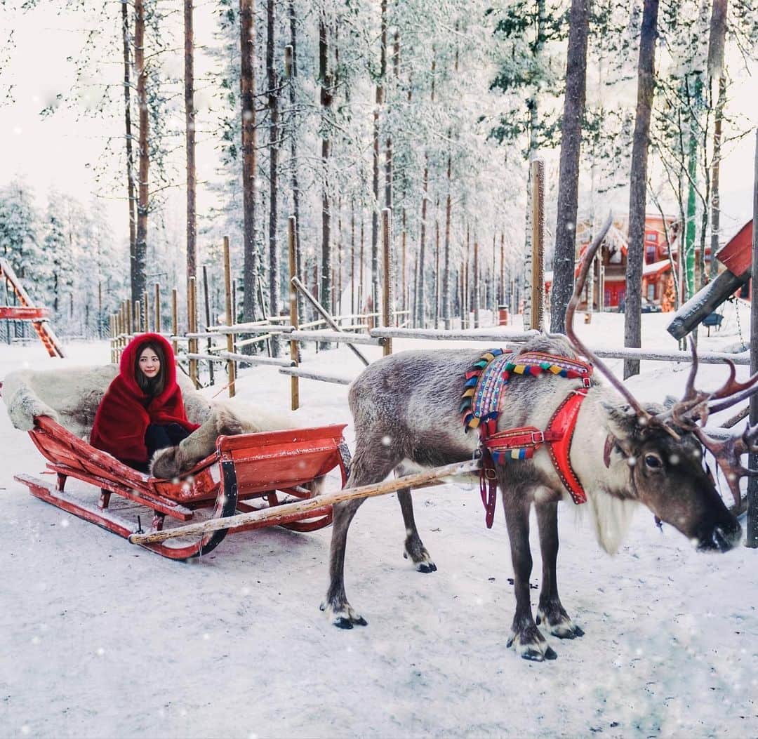 Giann Chanさんのインスタグラム写真 - (Giann ChanInstagram)「24.12 Merry christmas eve!  #Christmaseve #Merrychristmas #Reindeer #santaclausvillage」12月24日 14時41分 - chan.tsz.ying
