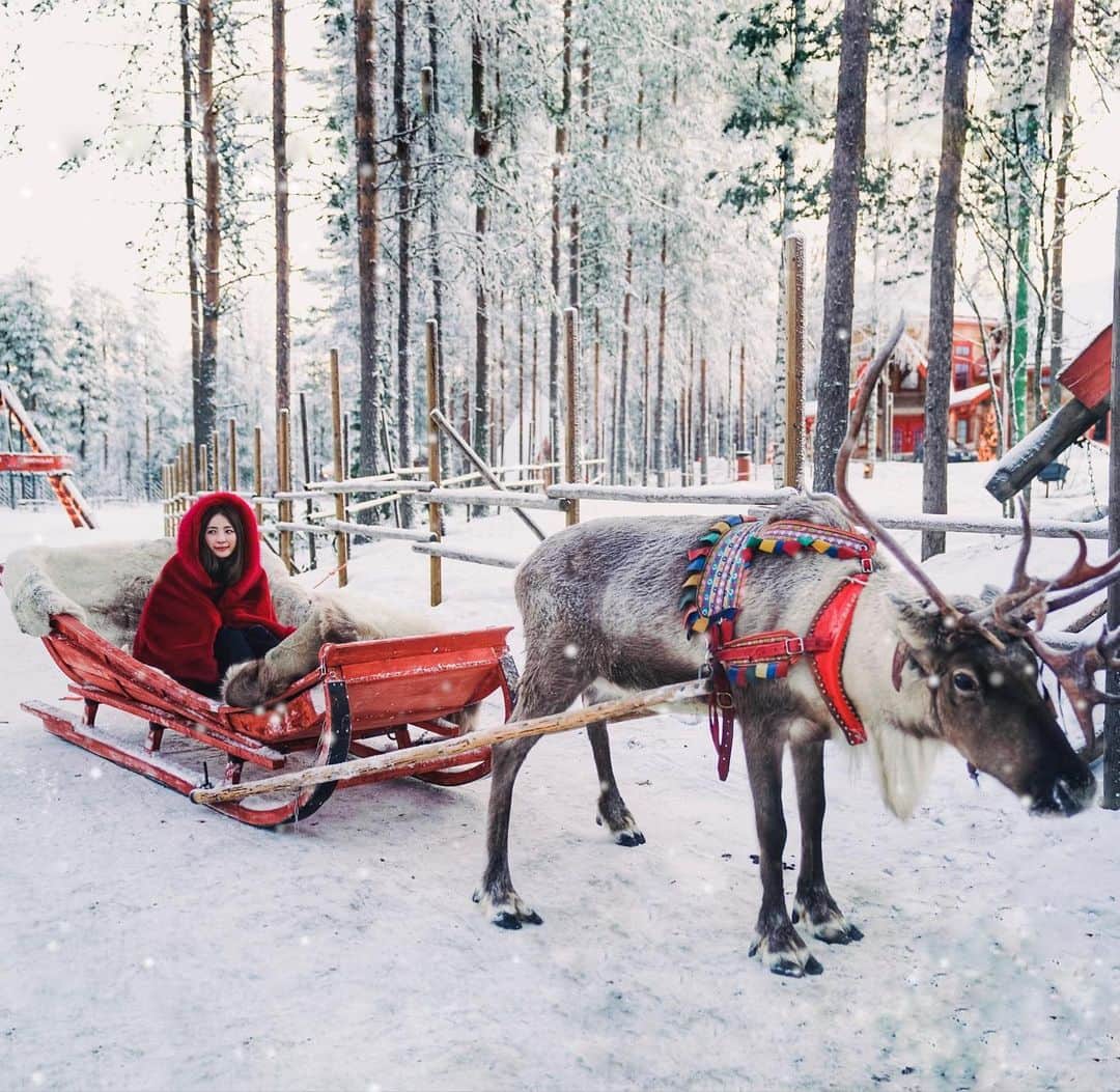 Giann Chanのインスタグラム：「24.12 Merry christmas eve!  #Christmaseve #Merrychristmas #Reindeer #santaclausvillage」