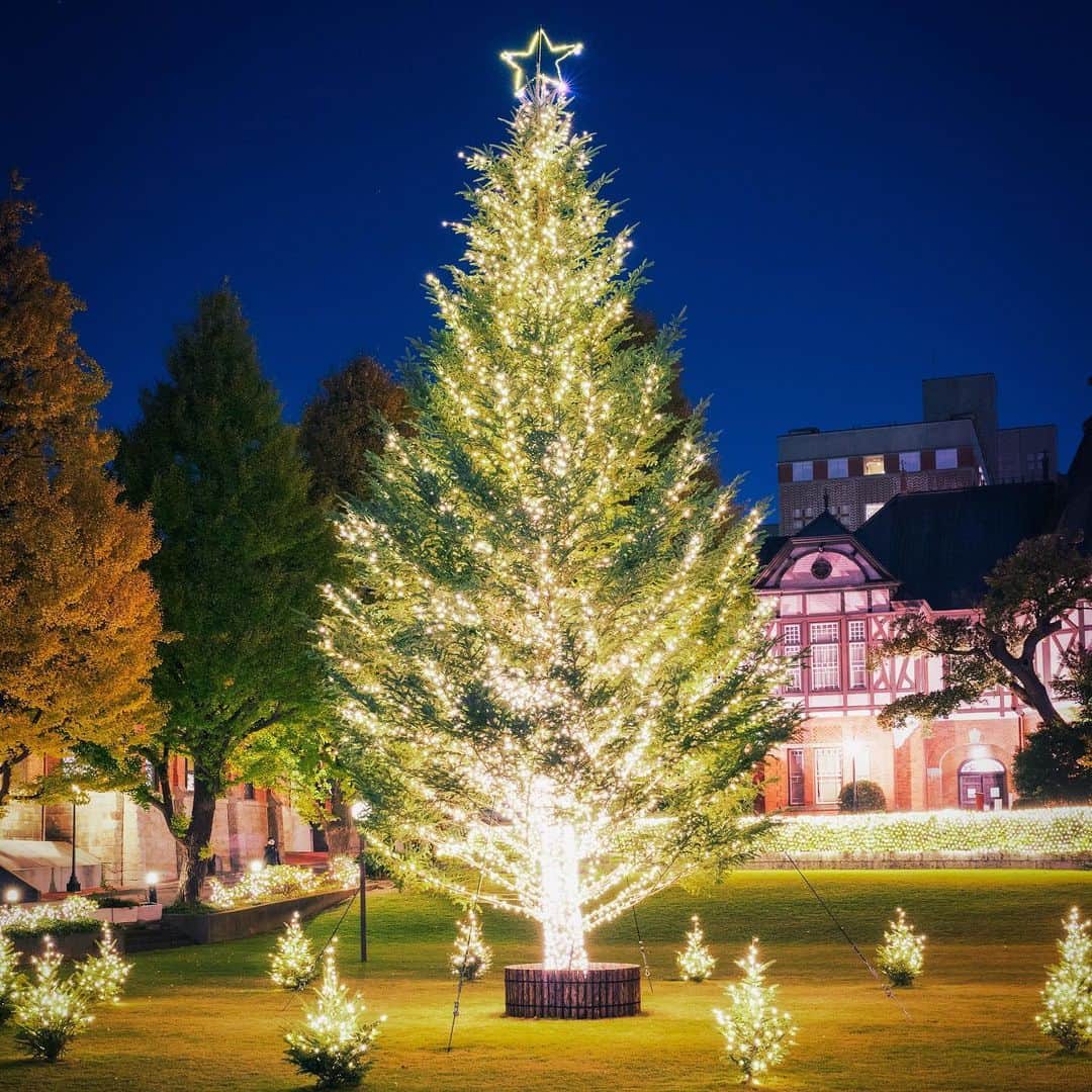 Meiji Gakuin/明治学院大学/明学のインスタグラム