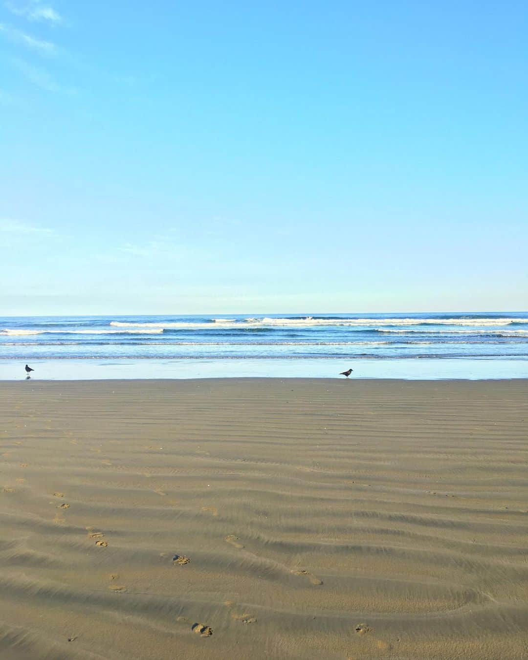 みりどる乙夜さんのインスタグラム写真 - (みりどる乙夜Instagram)「喜三郎の馬さんに、宮崎のビーチに連れて行って頂きました！綺麗でした…✨🏝 #sea #ocean #beach #coast #blue #beachlife #beachlover #beachside #sky #bluesky #wave #waves #sand #wintersea #relux #dayoff #teflection #宮崎 #金ヶ浜 #休日 #サーフィンの聖地 #冬の海 #海 #ビーチ #青 #青空 #日向灘 #散歩」12月24日 16時39分 - itsuya_miridoru