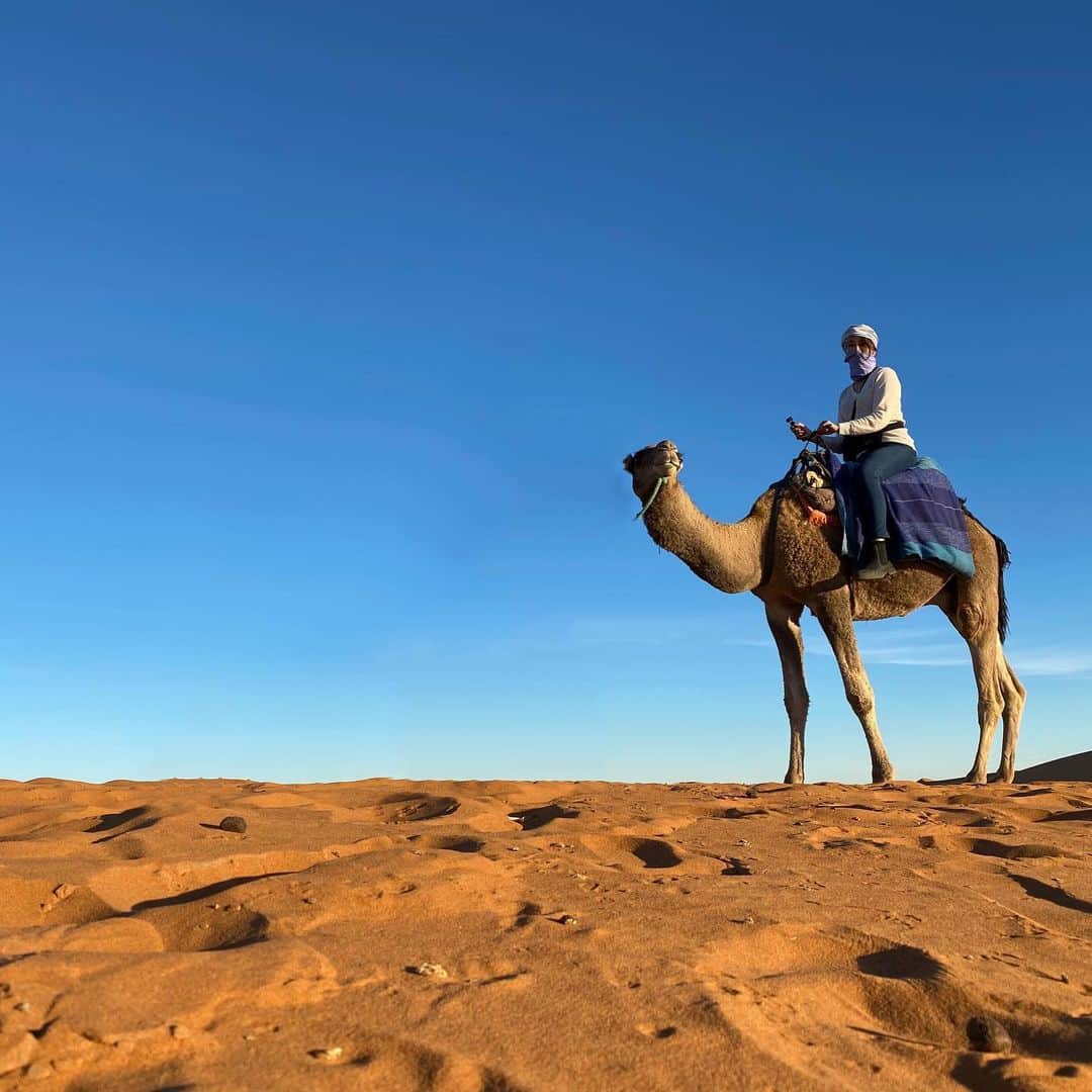 高橋メアリージュンさんのインスタグラム写真 - (高橋メアリージュンInstagram)「Camel ride. #Morroco #Saharadesert #travelingalone #女子一人旅」12月24日 16時40分 - maryjuntakahashi