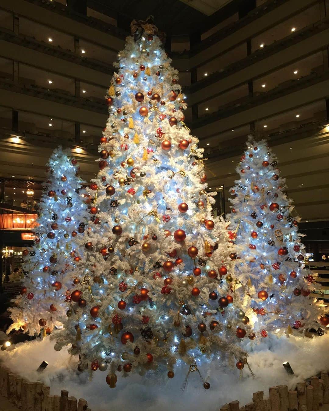 嶺乃一真さんのインスタグラム写真 - (嶺乃一真Instagram)「Happy Merry Xmas🎄  大好きなみんなに会えました😊❤️ 素敵なクリスマスをお過ごしください、、、🎅✨」12月24日 16時45分 - happy2ndlife