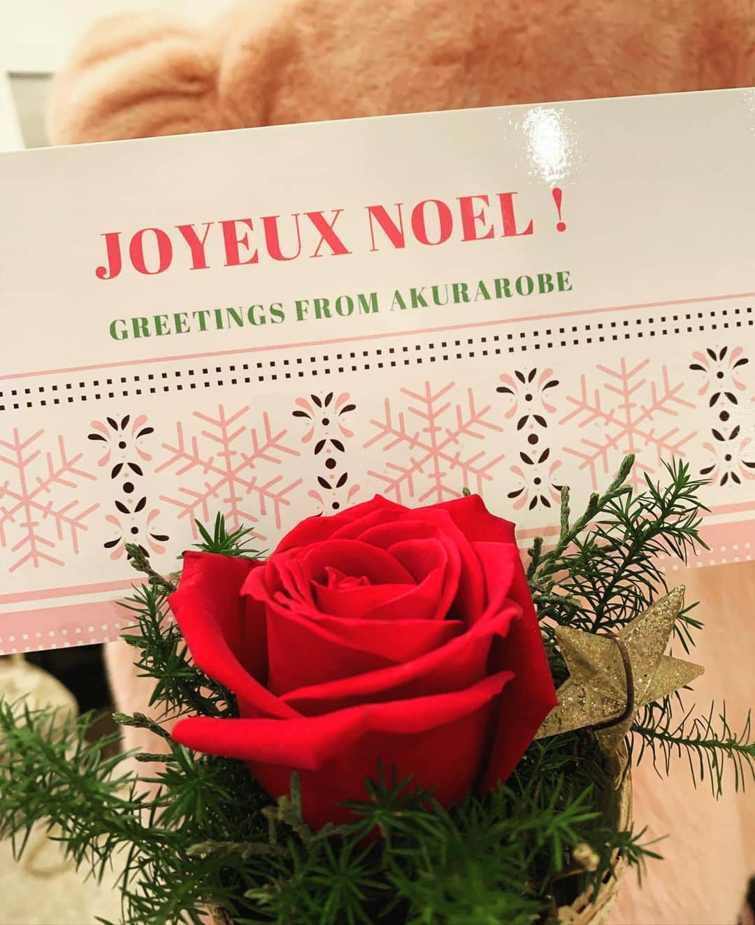 麻生あくらさんのインスタグラム写真 - (麻生あくらInstagram)「Joyeux Noel❤️🎄 皆様にとって素敵なクリスマスとなりますように。。 愛を込めて❤️ Akura」12月24日 16時51分 - akura_akura