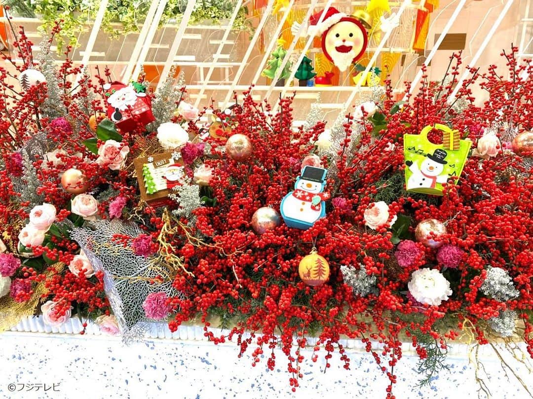 フジテレビ「めざましテレビ」さんのインスタグラム写真 - (フジテレビ「めざましテレビ」Instagram)「・ クリスマスイブのきょうのお花は「ウインターベリー」💐 鮮やかな赤がとってもキレイ✨  クリスマスにピッタリだね🥳 ・ ‎⁦‪#めざましテレビ‬⁩」12月24日 16時56分 - mezamashi.tv