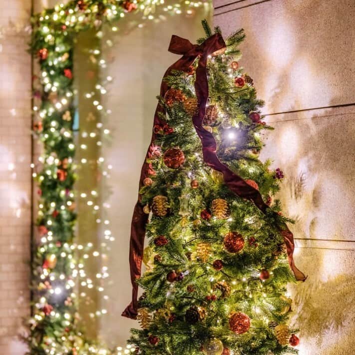 のインスタグラム：「.﻿ 明日はクリスマス❄﻿ 喜びにあふれた素敵な一日をお過ごしください。﻿ ﻿ Tomorrow is christmas. ﻿ Please have a wonderful day brimming with joy.﻿ ﻿」