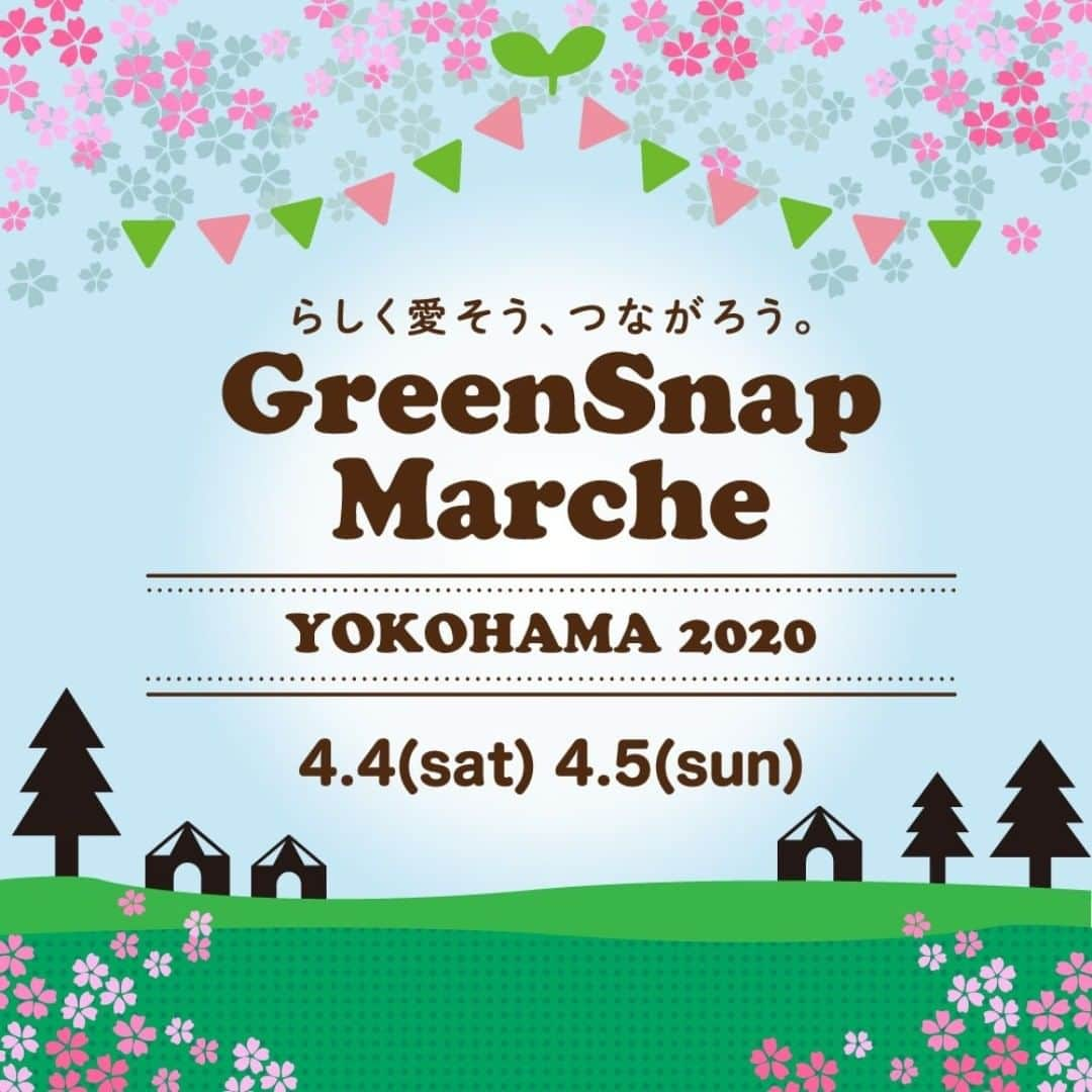 みどりで、つながる GreenSnapさんのインスタグラム写真 - (みどりで、つながる GreenSnapInstagram)「＼GreenSnapMarche YOKOHAMA 2020 出店者大募集／  毎回大好評のGreenSnapMarche YOKOHAMAの来年の開催が決定しました🎉  そこで植物の販売やワークショップができる出店者を募集してます☘  GreenSnapのイベントに興味のある方はぜひご応募ください😃  ーーーー詳細情報ーーーー  開催日時：2020年4月4日(土)〜5日(日)  開催場所：山下公園  GreenSnapアプリのお知らせ、タイムラインからご応募ください！ #greensnap #アプリ  #イベント #greensnapmarche  #花 #flower #flowers #フォロー #follow」12月24日 18時23分 - greensnap.jp