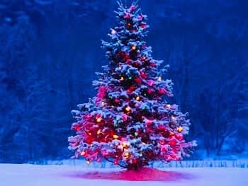 ペトル・チェフさんのインスタグラム写真 - (ペトル・チェフInstagram)「Merry Christmas and all the best in 2020 !  May all your wishes come true!」12月25日 4時17分 - petrcech