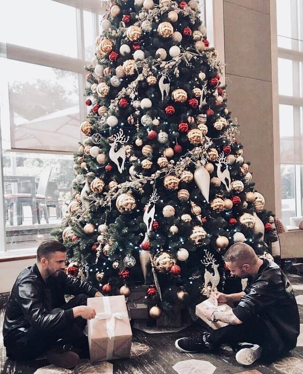 ギャランティスさんのインスタグラム写真 - (ギャランティスInstagram)「God Jul 🎅🏻🎅🏻🎄 #seafoxnation ⠀ Merry Christmas!! 😃」12月24日 20時23分 - wearegalantis