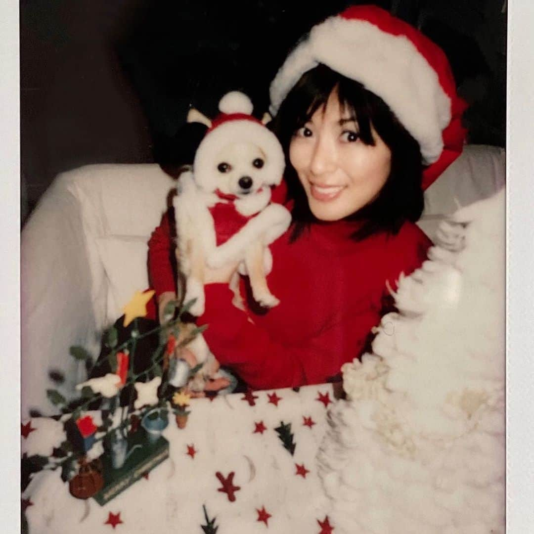 山田佳子さんのインスタグラム写真 - (山田佳子Instagram)「Merry Christmas ‼︎🎄🎉🎅🏻🍷🥰﻿ 素敵なイブを〜♪ ﻿ ﻿#愛犬 #プレスリーくん﻿  #chiwawa #子供の頃﻿ #17年前﻿ #クリスマスイブ🎄 #もうすぐ #命日 #merrychristmas﻿ #happyholiday﻿ #tb #山田佳子」12月24日 20時31分 - yoshiko117