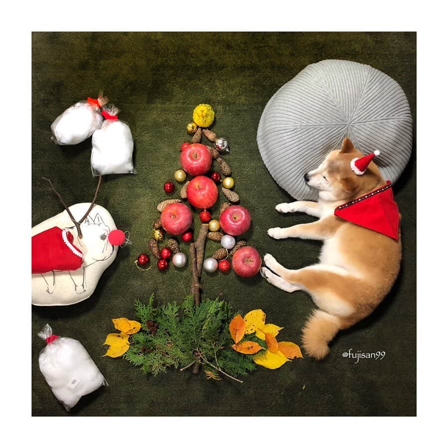 ai-chanさんのインスタグラム写真 - (ai-chanInstagram)「ai-chan mama🙂 🎄🎄🎄 Happy Holidays! May your Christmas wishes come true! . 喜びに満ちたクリスマスでありますように😴 . 寝相アートは以前のものです Sleeping dog art from the past😴 . #イラスト #ちょい描き #merrychristmas #happyholidays #sleepingdogart #sleepingart #寝相アート #頑張れアイママ」12月24日 20時29分 - fujisan99