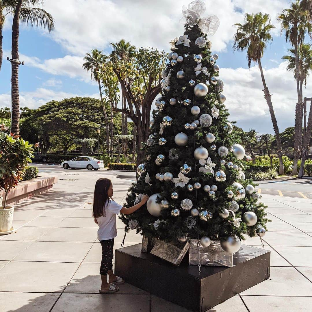 黒木なつみさんのインスタグラム写真 - (黒木なつみInstagram)「Merry christmas eve🎄🎅✨🎁♥️﻿ ﻿ こんなモコモコなツリーが良い！﻿ どこのがオススメ？？﻿ ﻿ 素敵な夜を✨♥️✨♥️✨♥️✨」12月24日 20時43分 - natsumi0086