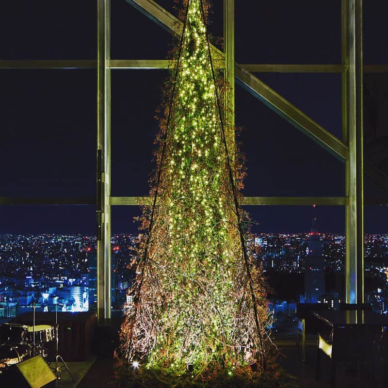 Park Hyatt Tokyo / パーク ハイアット東京さんのインスタグラム写真 - (Park Hyatt Tokyo / パーク ハイアット東京Instagram)「Wishing a Merry Christmas from Park Hyatt Tokyo! どうぞ皆様、素敵なクリスマスイブをお過ごしください。  #christmas #parkhyatttokyo #luxuryispersonal #パークハイアット東京」12月24日 20時52分 - parkhyatttokyo