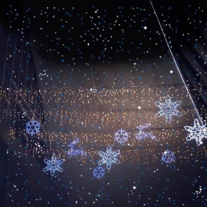 sunday_722のインスタグラム：「*﻿ 🎄Merry Christmas ⭐️﻿ *﻿ Wishing You a Beautiful ﻿ Holiday Season and﻿ New Year of Peace and﻿ Happiness.﻿ *﻿ 메리 크리스마스﻿ *﻿ 聖誕怏樂﻿ 希望世界和平﻿ メリークリスマス﻿ *﻿ 💫平和で暖かい﻿ 🎄クリスマスを﻿ ⭐️お迎え下さい。﻿ *﻿ #ShotOniPhone﻿ #ShotOniPhone5s﻿ #fukuokapics﻿ #fukuokapics_illumination﻿ #Christmasillumination﻿ #nightgram﻿ #streetphotography﻿ #streetclassics﻿ #ig_photooftheday﻿ #ampt_community ﻿ #shootermag ﻿ #youmobile﻿ #grryo﻿ #Shootermag_japan﻿ #inspirationcultmag﻿ #samewheremagazine﻿ #transfer_visions﻿ #visionofpictures﻿ #jj_mobilephotography」