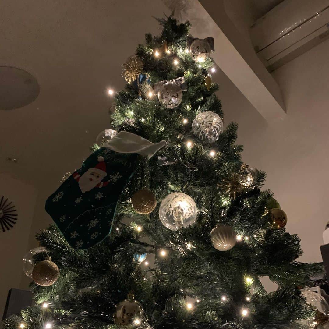真樹麗子さんのインスタグラム写真 - (真樹麗子Instagram)「Merry Christmas🎄✨ #merrychristmas  #mokichi🐹 #メリクリ #はむすたぐらむ」12月24日 21時31分 - makiofficial_0718