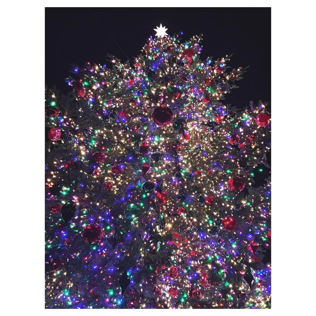 のインスタグラム：「サンタさん、 視力と記憶力と体力が欲しいです✋  AIO　#merrychristmas  #eve #サンタさん #へ #おねだり」