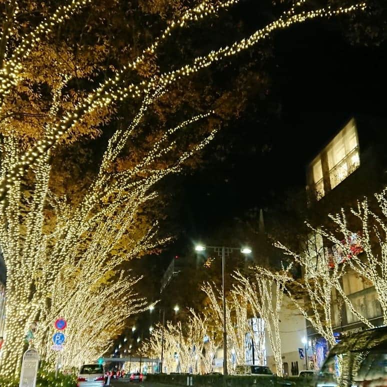 滝香織さんのインスタグラム写真 - (滝香織Instagram)「皆さん、#クリスマスイブ はいかがお過ごしですか？ 私は一人、部屋の大掃除をしていますが(>_<)せっかくなのでクリスマス気分を✨ 先日、#東京 で巡った#イルミネーション #渋谷 の#青の洞窟 #六本木 の#けやき坂イルミネーション #表参道 きれいだったなあ。  皆さん素敵なイブ&クリスマスをお過ごしくださいませ✨  #christmas #christmaseve #illumination #tokyo #クリスマス #愛媛 #アナウンサー #女子アナ #滝香織」12月24日 21時48分 - kaorin_taki