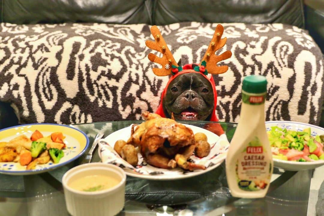 Turbo_dad フレブルのターボさんのインスタグラム写真 - (Turbo_dad フレブルのターボInstagram)「Merry Christmas 🎄  We wish you have wonderful holidays🎁 . . .  #frenchbulldog #frenchie #buhi #dog #フレンチブルドッグ  #フレブル #ブヒ #frenchiesofinstagram #instadog #instafrenchie #frenchiegram #dogstagram #frenchbullys #frenchielove #프렌치불독 #thefrenchiepost #法鬥 #frenchies1 #portrait #igersjp #tokyocameraclub  #bully #ilovemydog #frenchielife #愛犬 #dogsofinstagram #ふわもこ部 #christmas #xmas #クリスマス」12月24日 21時58分 - turbo_dad