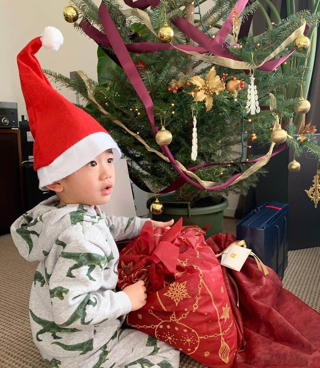 神山まりあさんのインスタグラム写真 - (神山まりあInstagram)「Merry Christmas Eve🎄🎄🎄 ミルクとジンジャークッキーを用意して、サンタを迎える準備はばっちり😊 明日の朝が楽しみだね❤️ #christmas #present #mom #son #family #love #happy #fun #santa」12月24日 21時52分 - mariakamiyama