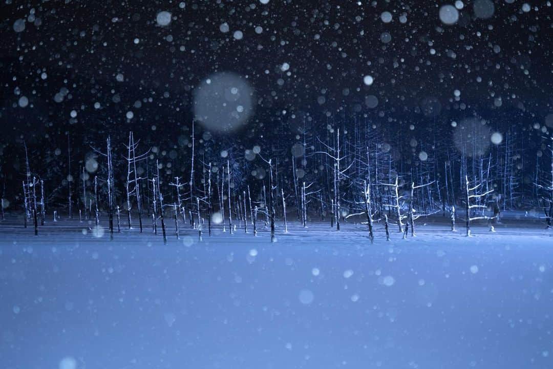 Hikaruさんのインスタグラム写真 - (HikaruInstagram)「Merry Christmas🎄 I take a picture by anelectronic flash. .. . ストロボで雪を撮ってみました。 今年は色んな事に挑戦した年でした。 段々カメラがまた楽しくなってきましたぢょ。 . . . #北海道 #instagramjapan #東京カメラ部 #tokyocameraclub #natgeospace #bealpha #SonyAlphasClub #pashadelic #team_jp #bestjapanpics #natgeo #sonyphotography #日本の絶景 #ig_great_pics #BBCtravel #ig_worldclub」12月24日 21時57分 - hikaru__satoh