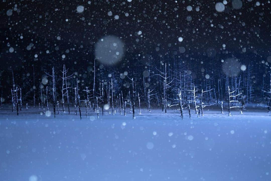 Hikaruのインスタグラム：「Merry Christmas🎄 I take a picture by anelectronic flash. .. . ストロボで雪を撮ってみました。 今年は色んな事に挑戦した年でした。 段々カメラがまた楽しくなってきましたぢょ。 . . . #北海道 #instagramjapan #東京カメラ部 #tokyocameraclub #natgeospace #bealpha #SonyAlphasClub #pashadelic #team_jp #bestjapanpics #natgeo #sonyphotography #日本の絶景 #ig_great_pics #BBCtravel #ig_worldclub」
