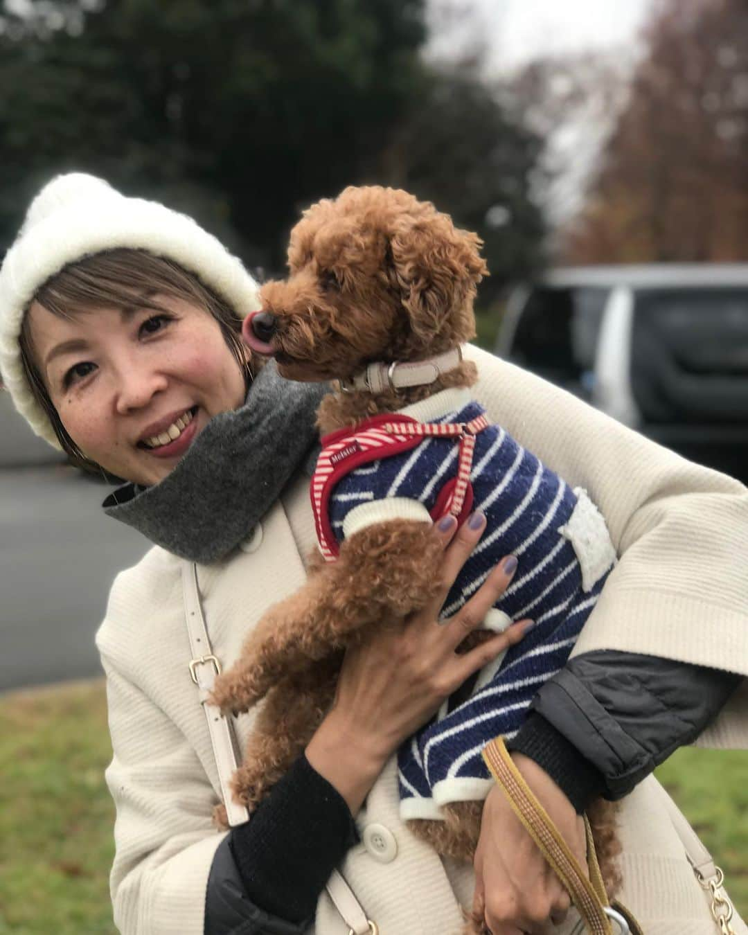 福田淳子さんのインスタグラム写真 - (福田淳子Instagram)「我が家のクリスマスは週末に。近所の公園を散歩して、帰ってソファでゴロゴロして、ケーキ食べて、夜はしゃぶしゃぶ。 はぴは赤いマフラー、私はリーディンググラスをもらいました。なんてことないふつうの1日。でもそういうなんでもない日がいちばん幸せなんだろうなあと最近しみじみ。  Merry christmas!  #christmascake #夜はM1見ながらコーンフレークで大爆笑 #sweetwitchj」12月24日 22時36分 - junjunfukuda